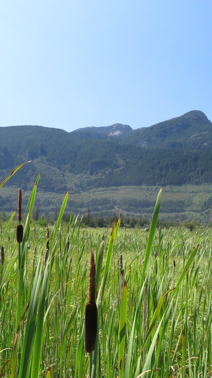 SQUAMISH Real Estate Statistics May 2023